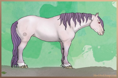Horse Color:Watercolor Amber Champagne Chinchilla Roan Pearl Dun Rabicano