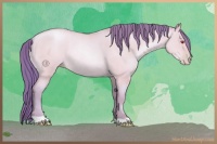 Horse Color:Watercolor Amber Champagne Chinchilla Roan Pearl Dun Rabicano