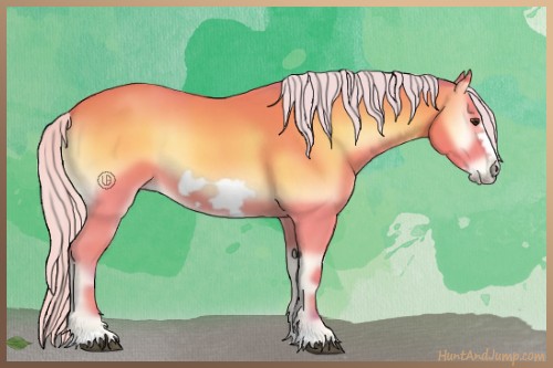 Horse Color:Watercolor Silver Bay Onyx Frame 