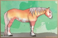 Horse Color:Watercolor Silver Bay Onyx Frame 