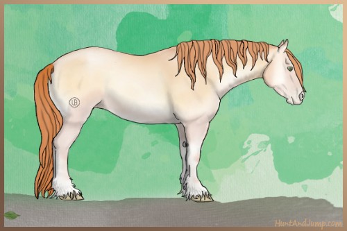 Horse Color:Amber Champagne Pearl Onyx 