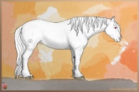 Horse Color:Silver Bay Chinchilla Pearl Dun Tobiano Varnish 