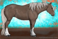 Horse Color:Silver Black 