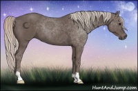Horse Color:Silver Black 