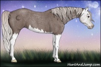 Horse Color:Silver Blue Roan Splash 