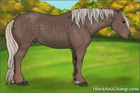 Horse Color:Silver Black 