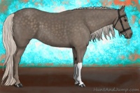 Horse Color:Silver Black 