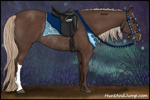 Horse Color:Liver Chestnut Rabicano 