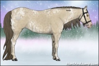 Horse Color:Classic Cream Champagne Ice 