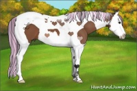 Horse Color:Painted Bay Splash Tobiano 