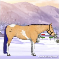 Horse Color:Painted Buckskin Tobiano