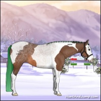 Horse Color:Painted Bay Splash Tobiano 
