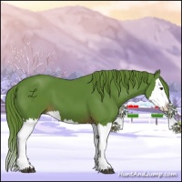 Horse Color:Watercolor Liver Chestnut Splash 