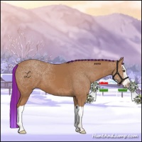 Horse Color:Painted Chestnut Splash 