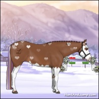Horse Color:Painted Chestnut Splash