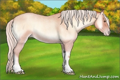 Horse Color:Silver Amber Champagne Roan Onyx