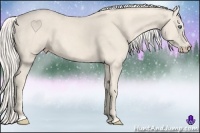 Horse Color:Cremello Sabino