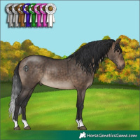 Horse Color:Brown Dun Brindle 