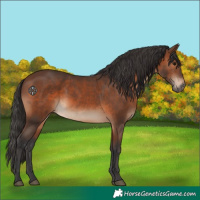 Horse Color:Brown 