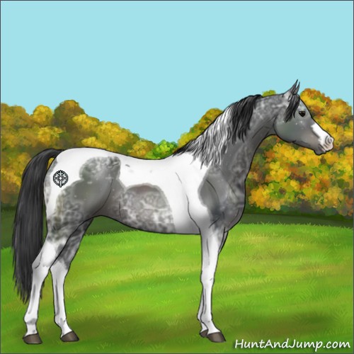 Horse Color:Black Ice Tobiano