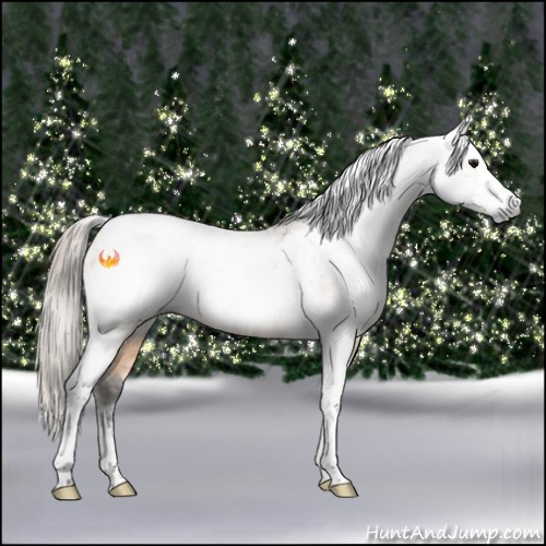 Horse Color:Gray Buckskin Tobiano Frame Appaloosa Rabicano  and Buckskin Roan Tobiano Frame Appaloosa Rabicano 