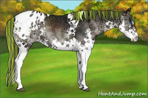 Horse Color:Painted Blue Onyx Ice Sabino Splash Tobiano Blanket Rabicano