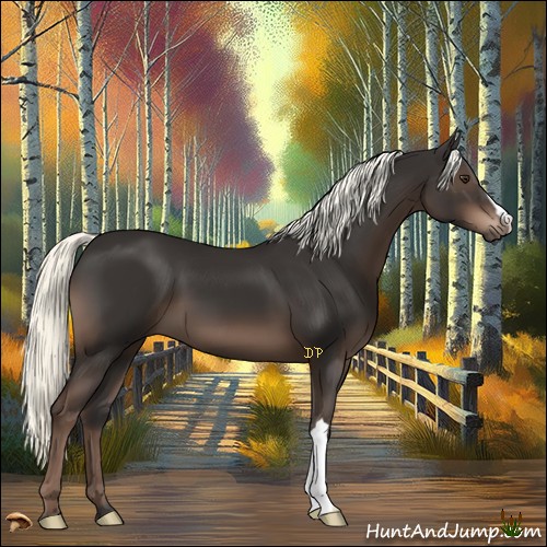 Horse Color:Liver Chestnut Mushroom 
