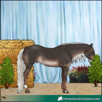 Horse Color:Liver Chestnut Mushroom 