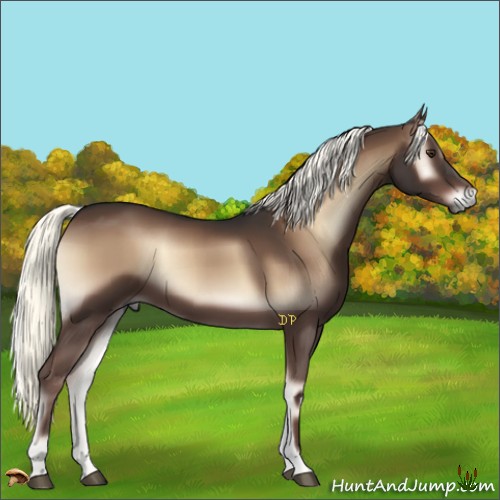 Horse Color:Liver Red Onyx Mushroom
