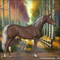 Horse Color:Liver Chestnut Mushroom Rabicano 