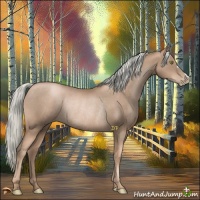 Horse Color:Liver Chestnut Pearl Mushroom Rabicano 