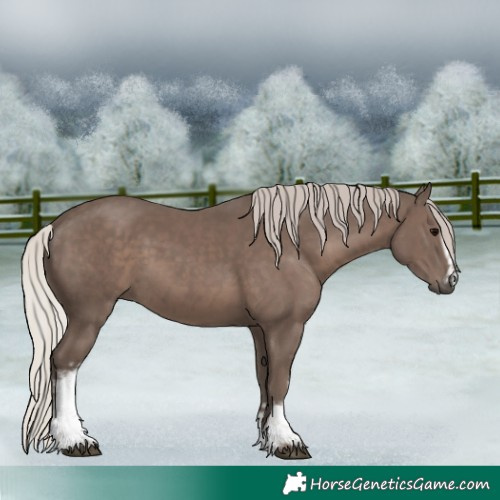 Horse Color:White Spotted Silver Black 