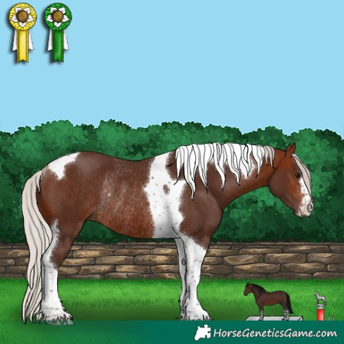 Horse Color:Silver Bay Tobiano Rabicano 