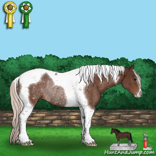 Horse Color:Silver Bay Tobiano Rabicano 