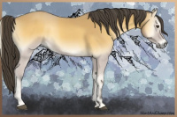 Horse Color:Buckskin Onyx 