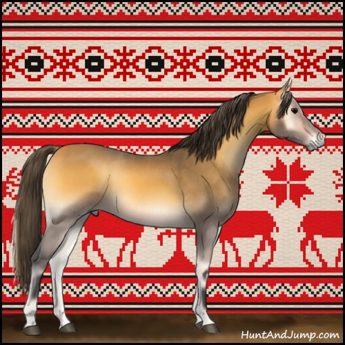 Horse Color:Buckskin Onyx 