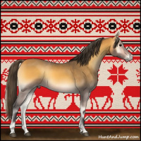 Horse Color:Buckskin Onyx 