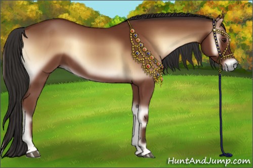 Horse Color:Bay Onyx 