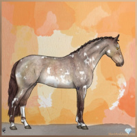 Horse Color:White Spotted Chocolate Brown Roan Dun 