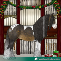 Horse Color:Buckskin Splash Tobiano 