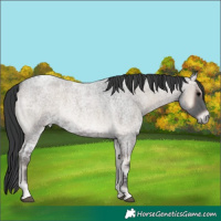Horse Color:Blue Onyx Ice Roan 