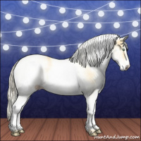 Horse Color:White Spotted Gold Cream Champagne 