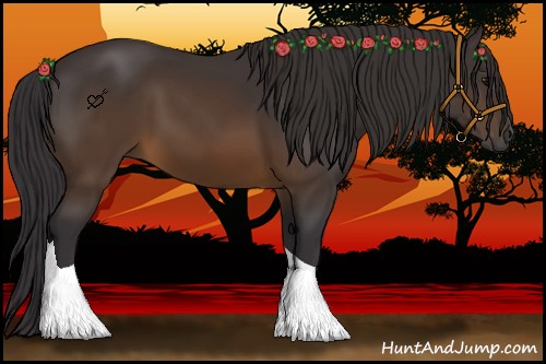 Horse Color:Buckskin Tobiano 