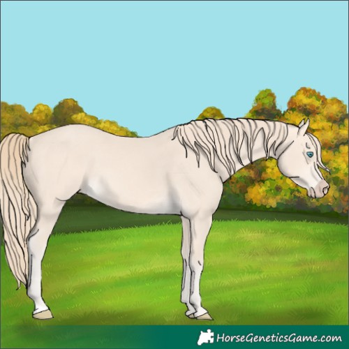 Horse Color:Perlino 
