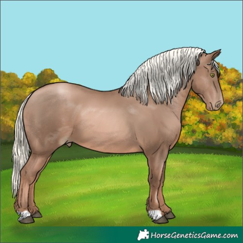 Horse Color:Liver Chestnut Pearl Mushroom 