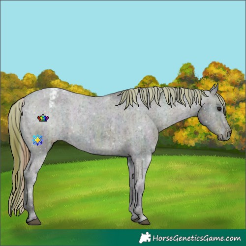 Horse Color:Plaid  Midnight Brown Ice Varnish Rabicano 