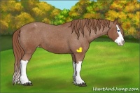 Horse Color:Chestnut Splash Varnish 