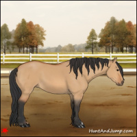 Horse Color:Bay Dun
