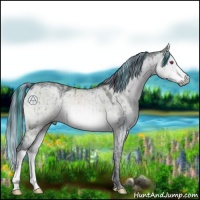 Horse Color:Painted Brown Chinchilla Ice Dun Mushroom Brindle