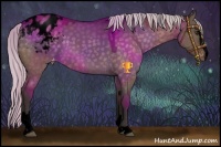 Horse Color:Void Silver Brown Dun Sabino Varnish 